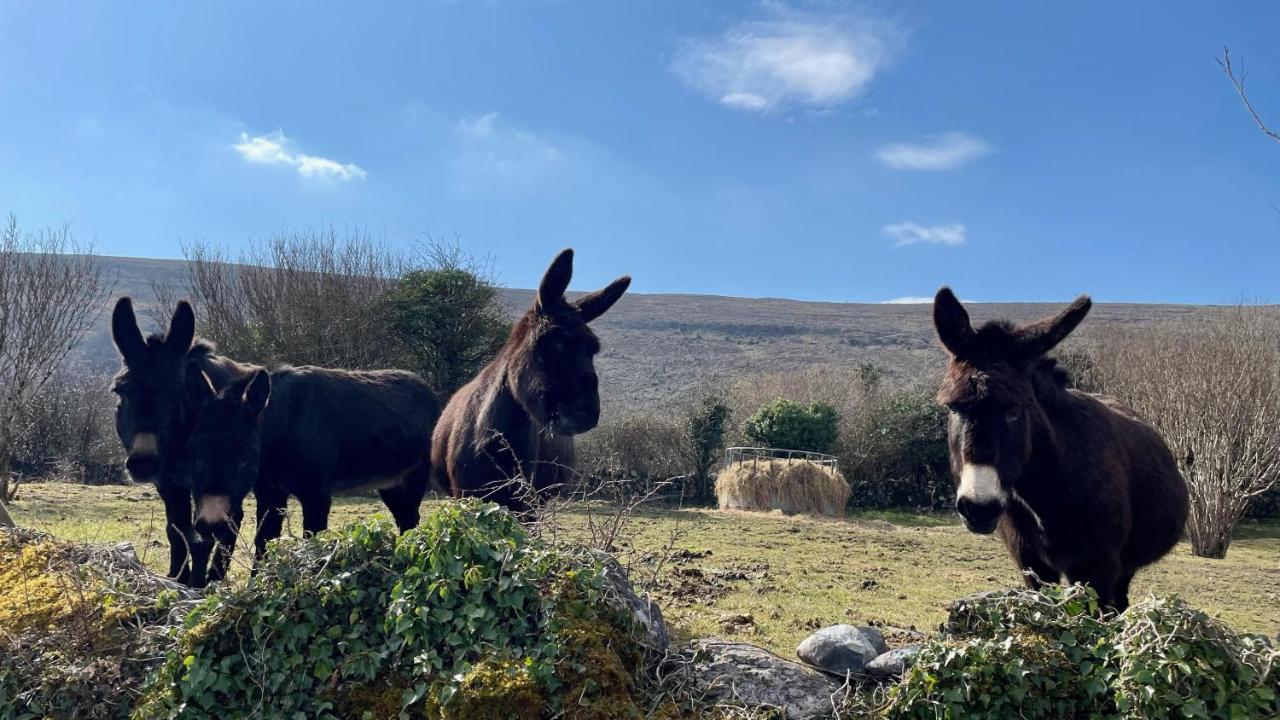 Cappabhaile House Ballyvaughan Buitenkant foto