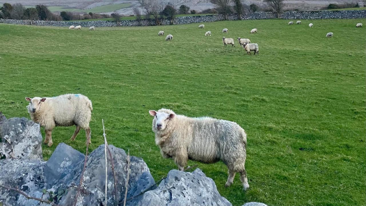 Cappabhaile House Ballyvaughan Buitenkant foto