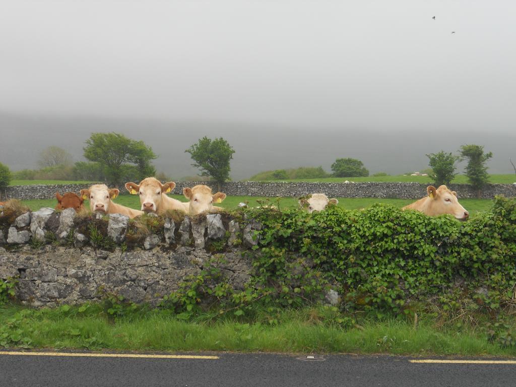 Cappabhaile House Ballyvaughan Kamer foto